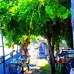 Trattoria Della Cascata オッジェッビオ