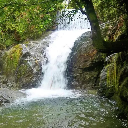 Nocleg ze śniadaniem Trattoria Della Cascata Oggebbio