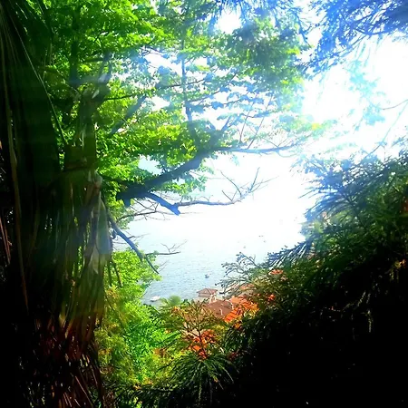 Trattoria Della Cascata B&B 오게비오